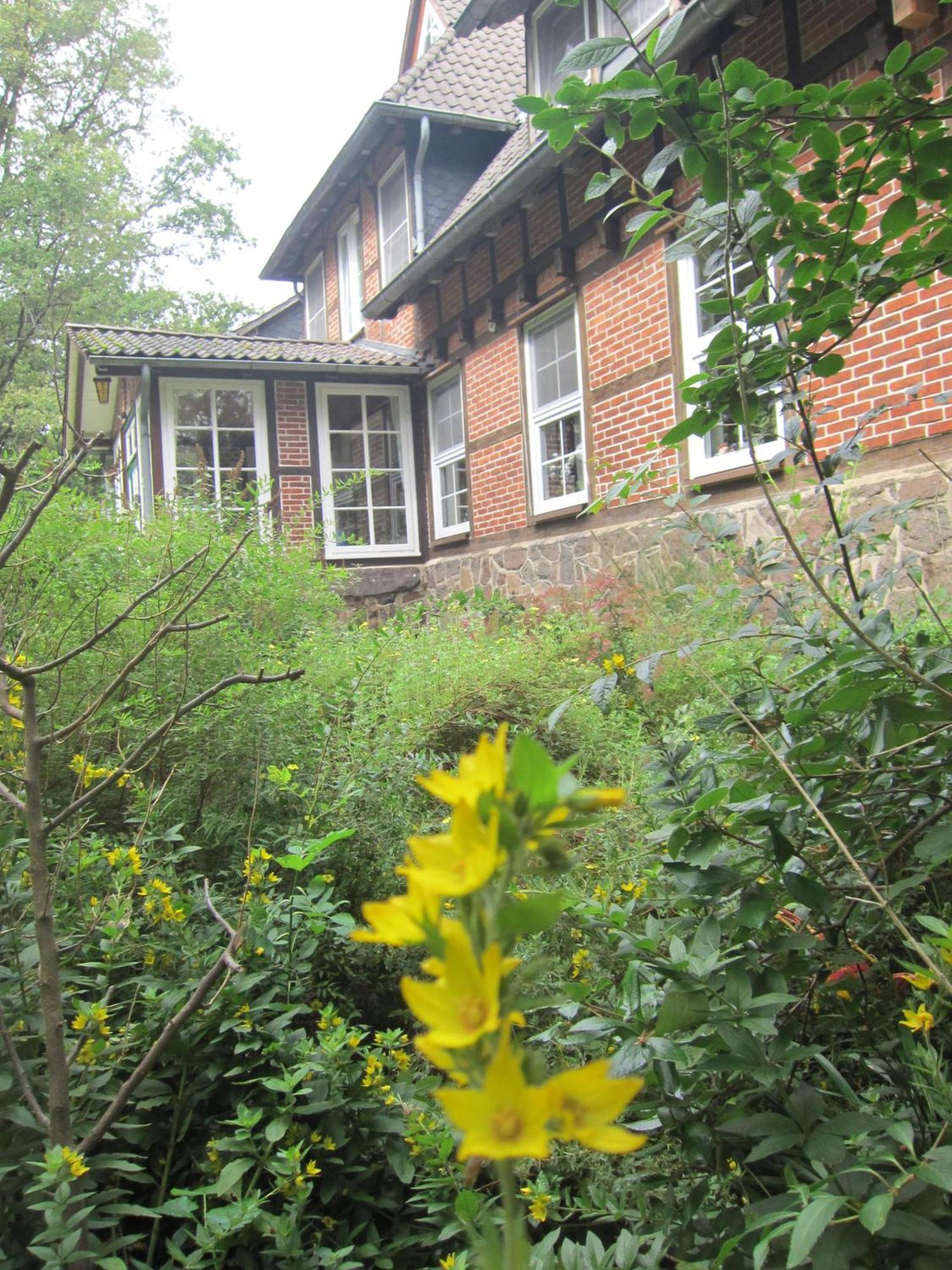比斯平根Haus Heidetal住宿加早餐旅馆 外观 照片